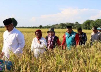 Edi Damansyah Puji Program Pengembangan Komunitas BAZNAS di Panen Raya Sidomukti