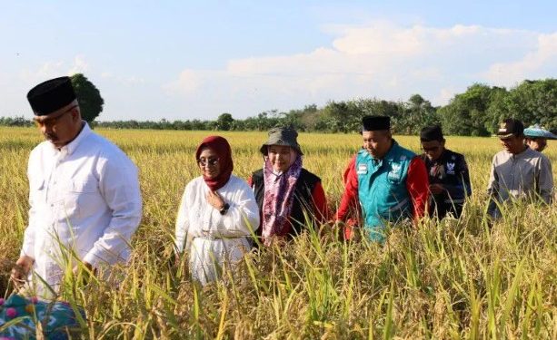 Edi Damansyah Puji Program Pengembangan Komunitas BAZNAS di Panen Raya Sidomukti