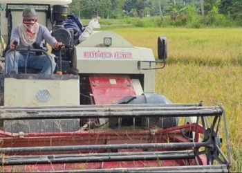 Disketapang Kukar Berinvestasi Rp 6 Miliar untuk Meningkatkan Kualitas Hasil Pertanian