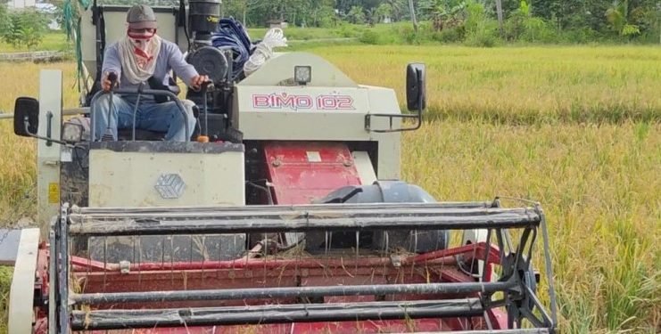 Disketapang Kukar Berinvestasi Rp 6 Miliar untuk Meningkatkan Kualitas Hasil Pertanian