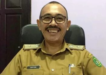 Manfaat Ekonomi Madu Kelulut: Kisah Sukses Desa Teluk Dalam