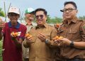 Pemkab Kukar Siapkan Anggaran Rp700 Miliar untuk Mendorong Sektor Pertanian