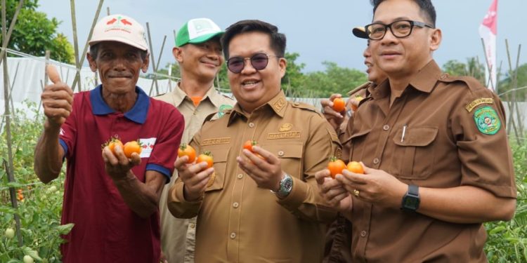 Pemkab Kukar Siapkan Anggaran Rp700 Miliar untuk Mendorong Sektor Pertanian