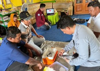 Inisiatif Pelatihan Keahlian: Arah Baru Pengentasan Pengangguran di Muara Wis