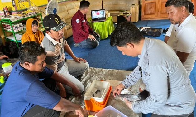 Inisiatif Pelatihan Keahlian: Arah Baru Pengentasan Pengangguran di Muara Wis