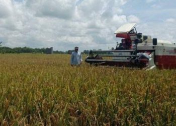 Memperkuat Sektor Pertanian: Fokus Pembangunan Infrastruktur di Kecamatan Tenggarong Seberang