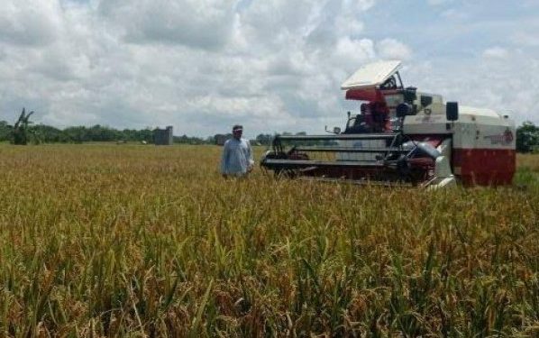 Memperkuat Sektor Pertanian: Fokus Pembangunan Infrastruktur di Kecamatan Tenggarong Seberang