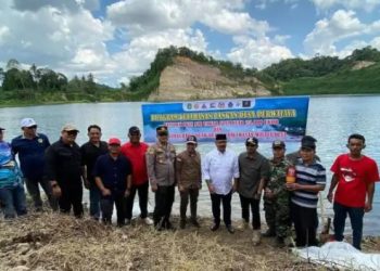 Fosil Pohon Terpanjang di Dunia: Keajaiban Geologi di Desa Purwajaya
