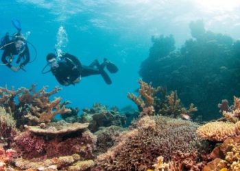 Pelatihan Diving: Inisiatif Terbaru Dispar Kukar untuk Pengembangan Pariwisata Bawah Laut