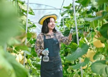 Pendekatan Inklusif Dispora Kukar: Mendengar dan Merespons Kebutuhan Petani Muda