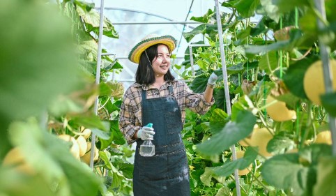 Pendekatan Inklusif Dispora Kukar: Mendengar dan Merespons Kebutuhan Petani Muda