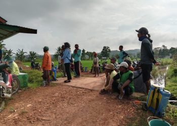Ketua Gapoktan Wagisan: “Harapan Kami, Panen Maksimal untuk Semua Petani