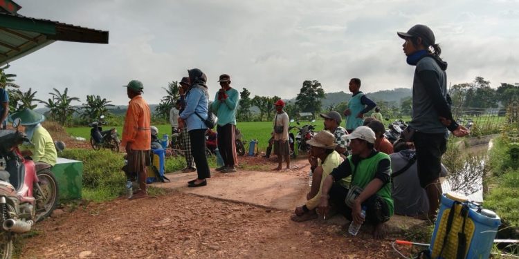 Ketua Gapoktan Wagisan: “Harapan Kami, Panen Maksimal untuk Semua Petani