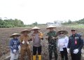 Penanaman Jagung di Kaltim: Sinergi Lintas Sektor Dorong Produksi Pangan