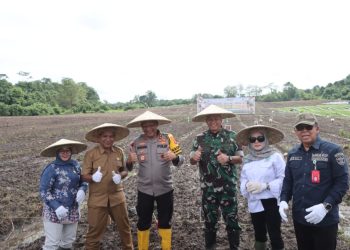 Penanaman Jagung di Kaltim: Sinergi Lintas Sektor Dorong Produksi Pangan
