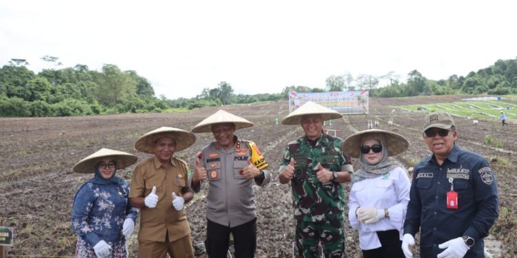 Penanaman Jagung di Kaltim: Sinergi Lintas Sektor Dorong Produksi Pangan