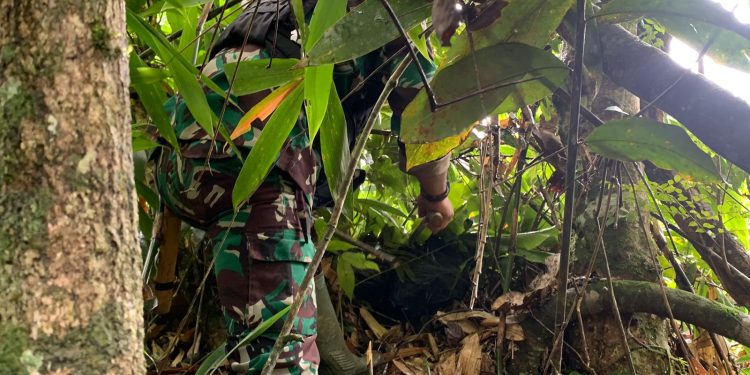 Jalan Tikus Perbatasan Jadi Jalur Penyelundupan, Satgas Pamtas Bertindak Cepat