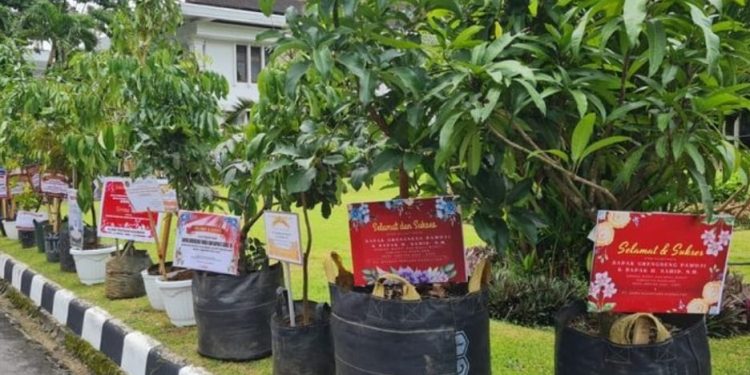 Kirim Sembako atau Pohon