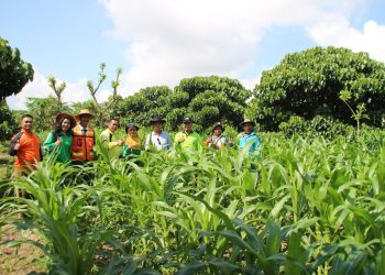 Pemdes Embalut Salurkan Bantuan untuk Petani Jagung