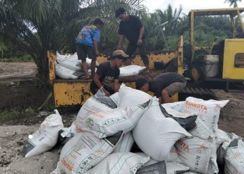 Gandeng BUMDes, Desa Segihan Perkuat Distribusi Pupuk dan Alat Pertanian