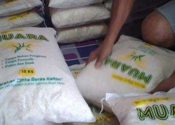 Lumbung Pangan Desa Segihan Diperkuat, Petani Bisa Tahan Jual Saat Harga Anjlok