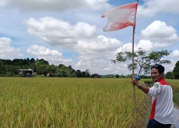 Minimnya Regenerasi Ancam Masa Depan Pertanian Tenggarong Seberang