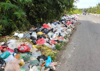 Belum Miliki TPS Permanen, Kecamatan Tenggarong Seberang Andalkan Solusi Sementara