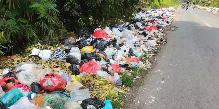 Belum Miliki TPS Permanen, Kecamatan Tenggarong Seberang Andalkan Solusi Sementara