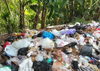 Keterbatasan TPS Jadi Kendala, Tenggarong Seberang Dorong Desa Kelola Sampah Mandiri