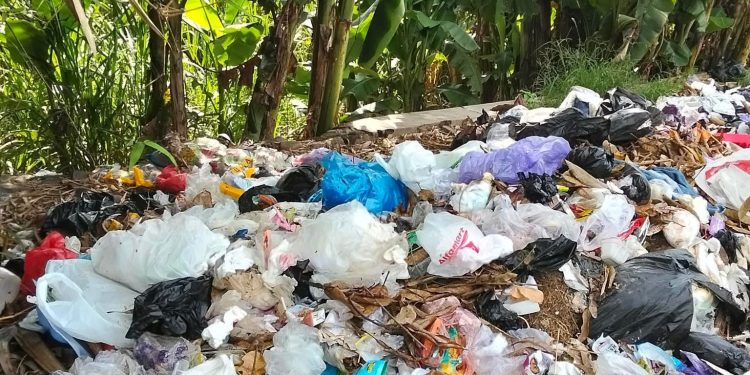 Keterbatasan TPS Jadi Kendala, Tenggarong Seberang Dorong Desa Kelola Sampah Mandiri