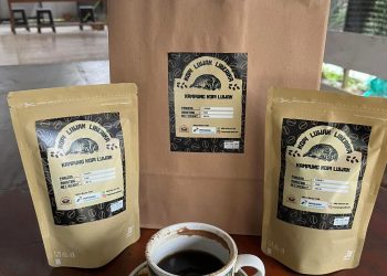 Desa Perangat Baru Wajibkan Warga Tanam Pohon Kopi, Kades: Peminat Sudah Tembus Pasar Mancanegara