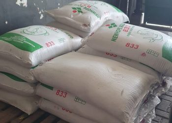 BUMDes Loa Raya Kembangkan Bisnis Pakan Ikan, Ringankan Biaya Petambak Lokal