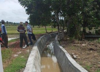 Irigasi Permanen Jadi Solusi Petani Loa Raya Hadapi Kekeringan Musiman