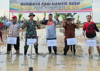 Sinergi Distanak Kukar dan Kementan RI Perkuat Kawasan Pertanian Berkelanjutan