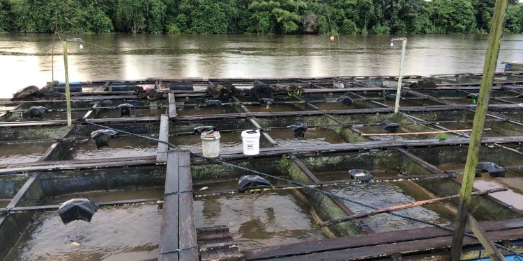 DKP Kukar Optimalkan Infrastruktur Perikanan, Bangun Dermaga Ikan di Empat Kecamatan