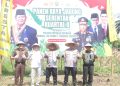 Dukung Ketahanan Pangan, Polresta Samarinda Panen Jagung Bareng Forkopimda