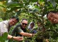 Wagub Kaltim Dukung Kopi Luwak Kukar Jadi Komoditas Nasional