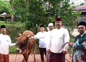 Serahkan Hewan Qurban, Bupati Kukar Dorong Ponpes Jadi Pilar Kepedulian Sosial