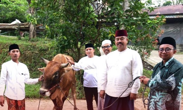 Serahkan Hewan Qurban, Bupati Kukar Dorong Ponpes Jadi Pilar Kepedulian Sosial