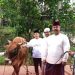 Serahkan Hewan Qurban, Bupati Kukar Dorong Ponpes Jadi Pilar Kepedulian Sosial
