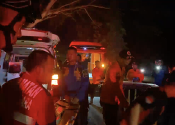 Pohon Tumbang di Tenggarong Seberang, Satu Tewas Dua Luka