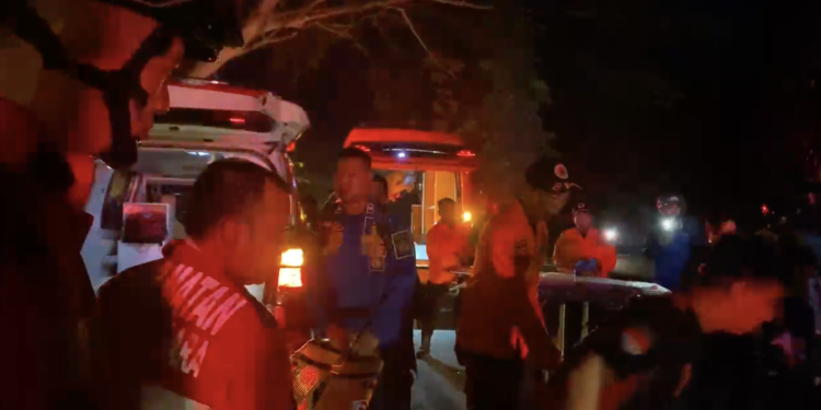 Pohon Tumbang di Tenggarong Seberang, Satu Tewas Dua Luka