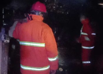 Kebakaran di Loa Tebu Berhasil Dicegah Meluas Berkat Gerak Cepat Damkar