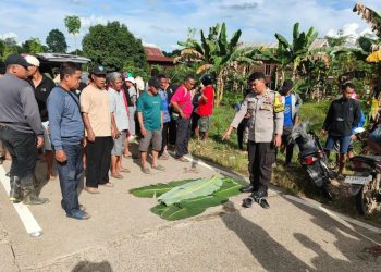 Pemotor Tewas Tersenggol Truk di Jalan Poros Bukit Layang, Polisi Ingatkan Pentingnya Sein