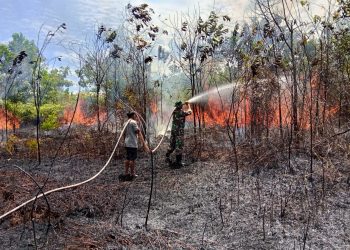 Api Mengancam Perkebunan Warga, Babinsa dan Tim Gabungan Berhasil Kendalikan Karhutla di Berau