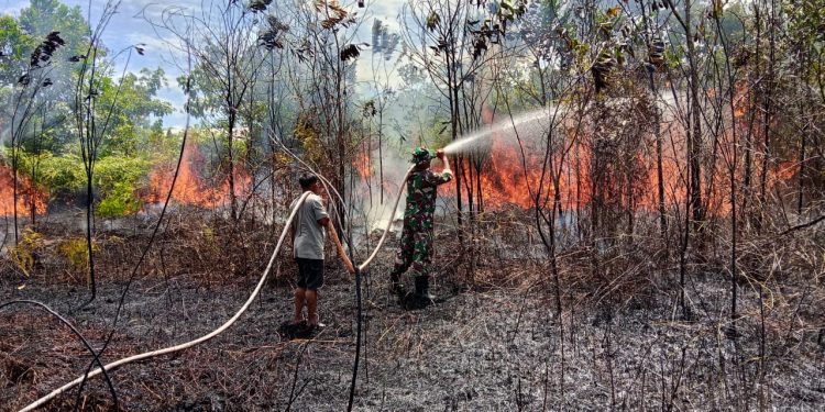 Api Mengancam Perkebunan Warga, Babinsa dan Tim Gabungan Berhasil Kendalikan Karhutla di Berau