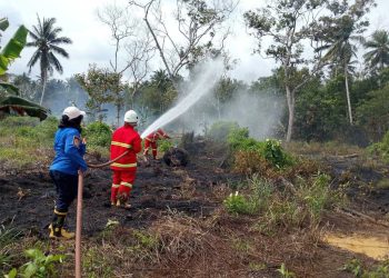 Kebakaran Lahan 500 Meter Persegi di Muara Jawa Berhasil Dipadamkan Damkarmatan Kukar