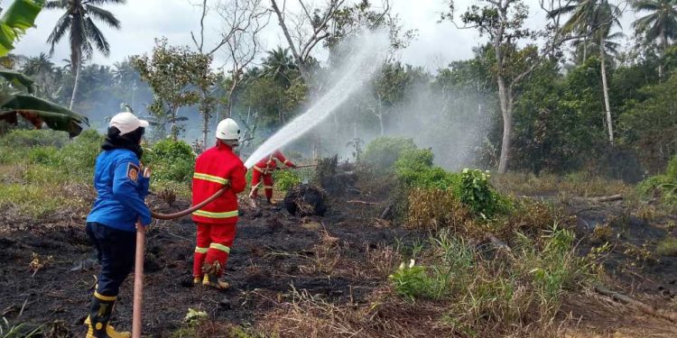 Kebakaran Lahan 500 Meter Persegi di Muara Jawa Berhasil Dipadamkan Damkarmatan Kukar